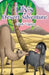 Lily's Desert Adventure by Cindy Tingley