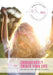 Courageously Create Your Life - Personal Wellness Journal: Maggie Chilton BA (Hons) R.H.N by Maggie Chilton