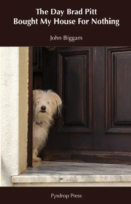 The Day Brad Pitt Bought My House For Nothing by John Biggam