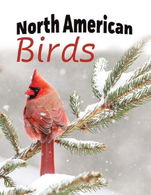 North American Birds by Lasting Happiness