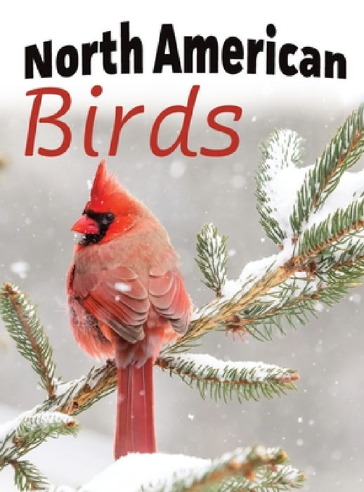 North American Birds by Lasting Happiness