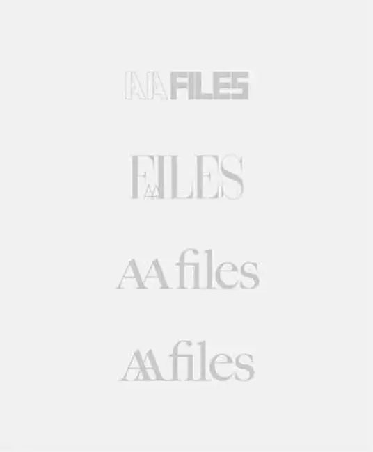 AA Files X by Bodo Neuss
