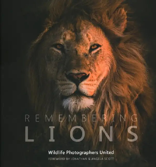 Remembering Lions by Margot Raggett / Wildlife Photographers