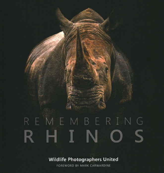 Remembering Rhinos by Margot Raggett