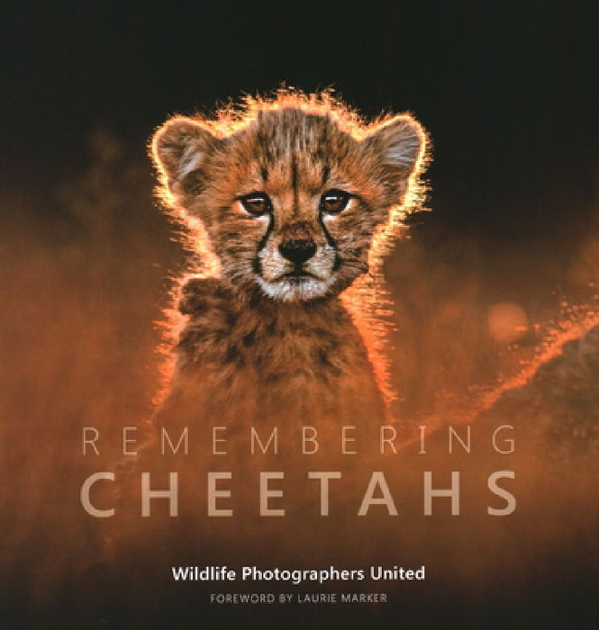 Remembering Cheetahs by Margot Raggett / Wildlife Photographers