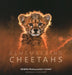 Remembering Cheetahs by Margot Raggett / Wildlife Photographers