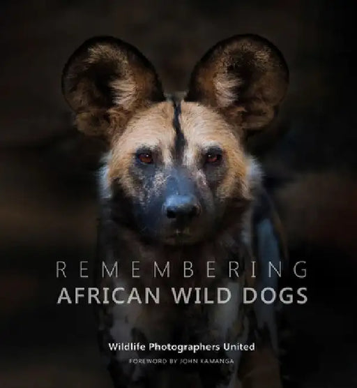 Remembering African Wild Dogs by Margot Raggett