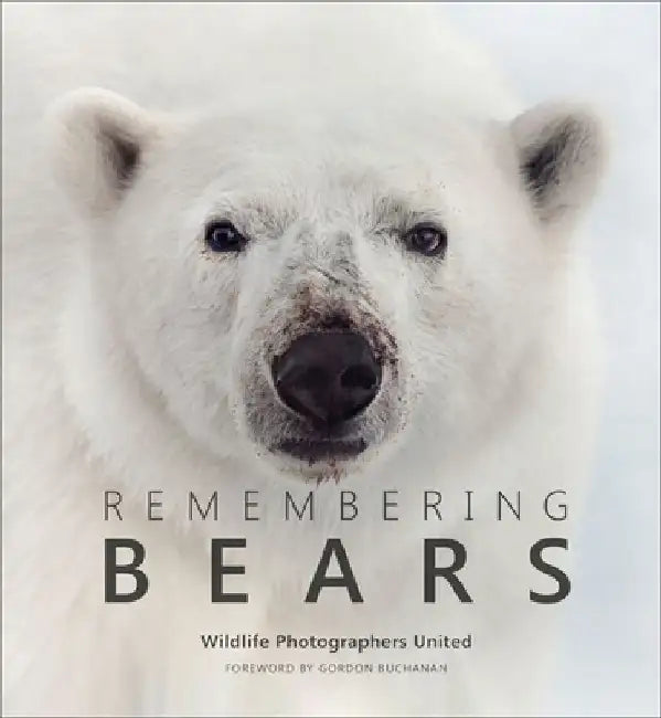 Remembering Bears by Margot Raggett
