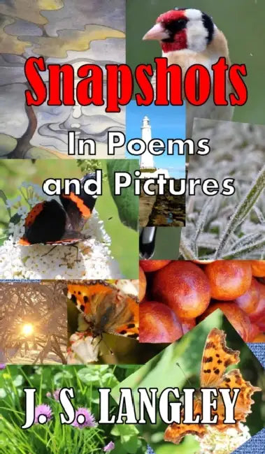 Snapshots