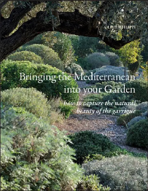 Bringing the Mediterranean Into Your Garden: How to Capture the Natural Beauty of the Mediterranean Garrigue by Olivier Filippi
