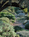 Bringing the Mediterranean Into Your Garden: How to Capture the Natural Beauty of the Mediterranean Garrigue by Olivier Filippi