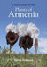 A Field Guide to the Plants of Armenia by Tamar Galstyan