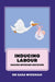 Inducing Labour: making informed decisions by Sara Wickham