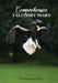 Comprehensive Falconry Diary by Alizé Veillard-Muckensturm