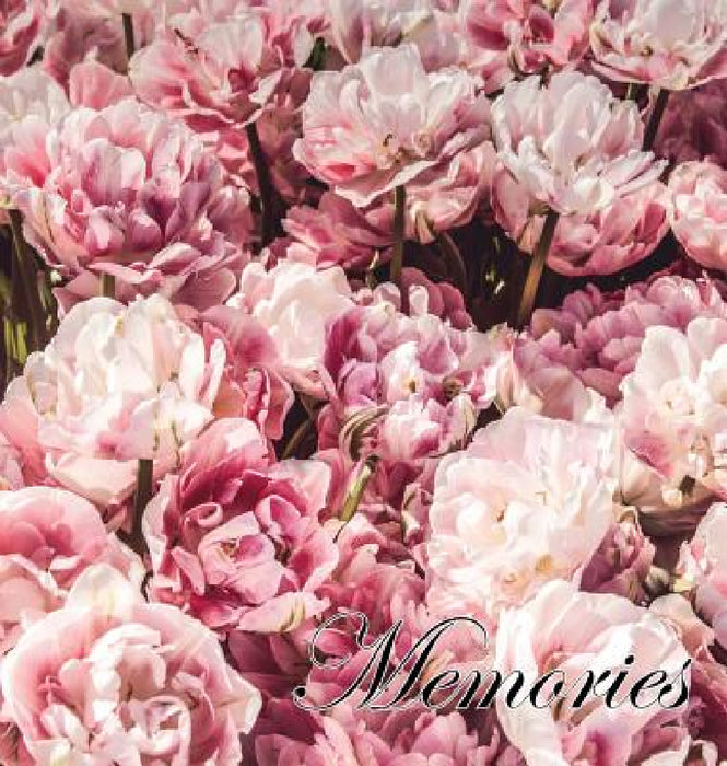 In Loving Memory Funeral Guest Book, Celebration of Life, Wake, Loss, Memorial Service, Condolence Book, Church, Funeral Home, Thoughts and In Memory by Lollys Publishing