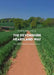 A Trail Guide to Walking the Devonshire Heartland Way: From Okehampton to Stoke Canon by Matthew Arnold