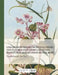 Collection Précieuse Et Enluminée Des Fleurs Les Plus Belles Et Plus Curieuses de Chine Et Europe by Pierre-Joseph Buc'hoz