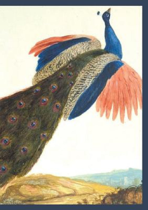 Carnet Ligné, Paon by Claude Aubriet