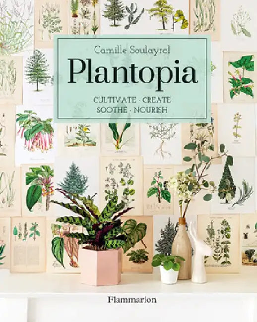 Plantopia: Cultivating, Decorating, and Crafting with House Plants by Camille Soulayrol