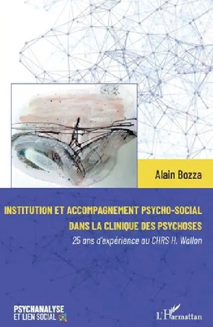 Institution et accompagnement psycho-social dans la clinique des psychoses: 25 ans d'expérience au CHRS H. Wallon by Alain Bozza