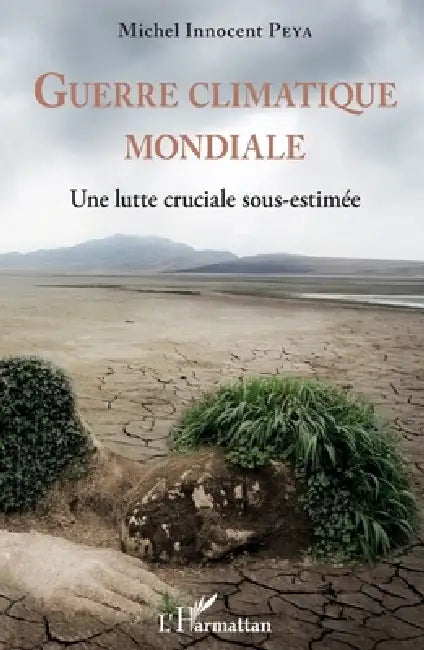 Guerre climatique mondiale: Une lutte cruciale sous-estimée by Michel Innocent Peya
