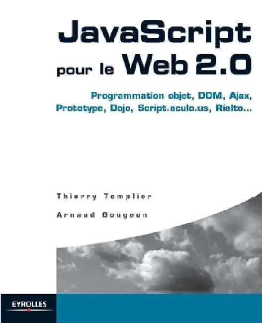 JavaScript pour le Web 2.0: Programmation objet, DOM, Ajax, Prototype, Dojo, Script.aculo.us, Rialto... by Templier, Thierry
