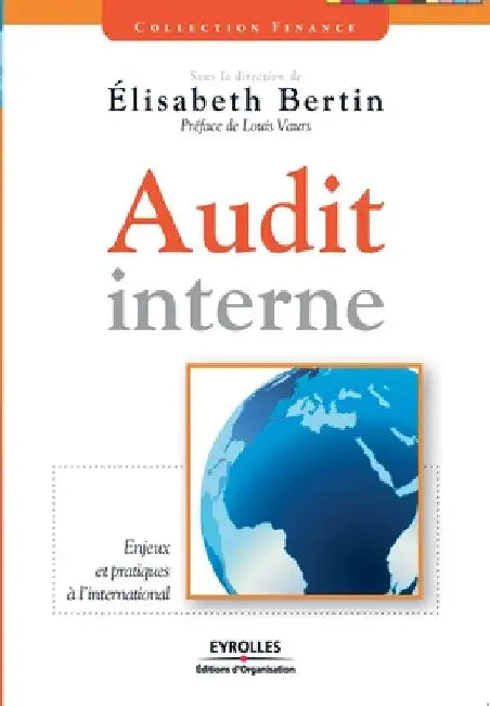 Audit interne: Enjeux et pratiques à l'international by Bertin, Elisabeth