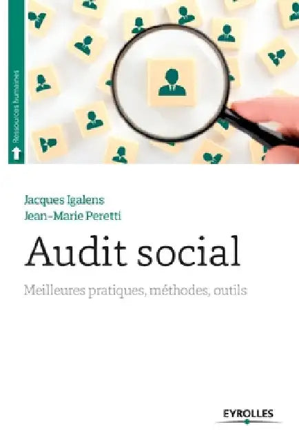 Audit social: Meilleures pratiques, méthodes, outils by Peretti, Jean-Marie