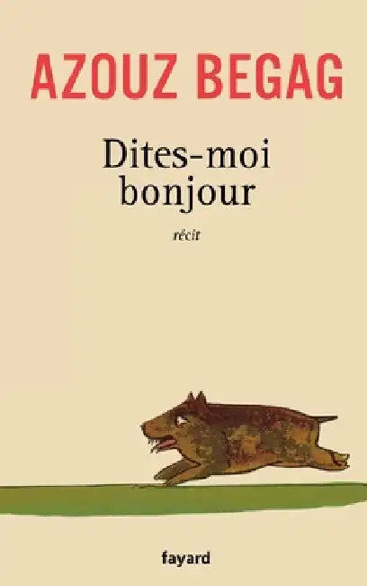 Dites-moi bonjour by Azouz Begag