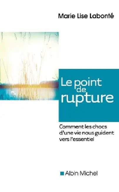 Le Point de rupture: Comment les chocs d'une vie nous guident vers l'essentiel by Marie Lise Labonté