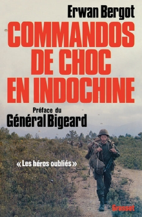 Commandos de choc en Indochine: Les héros oubliés by Erwan Bergot