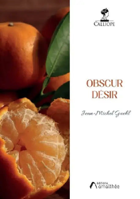Obscur désir by Jean Michel Guehl