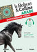 Le Robert et Collins Dictionnaire Visuel Arabe: French-Arabic