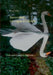 Sansonnets, un cygne à l'envers: Cent sonnets, insignes allant vers.... by Thiry, Pierre