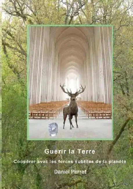 Guérir la Terre: Une coopération avec les forces subtiles de la planète by Perret, Daniel