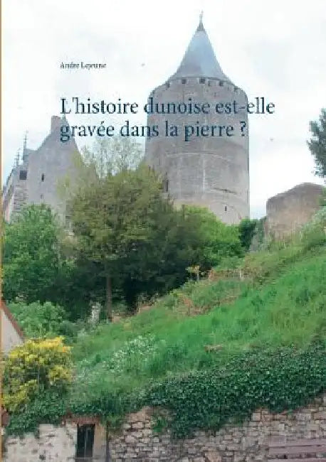 L'histoire dunoise est-elle gravée dans la pierre ? by Lejeune, Andre