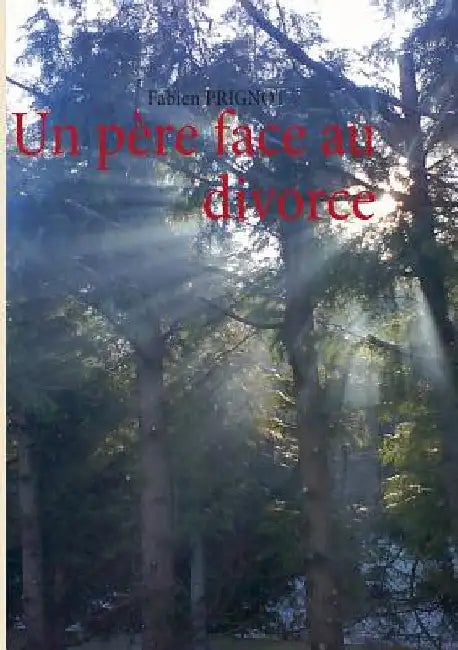 Un père face au divorce by Prignot, Fabien