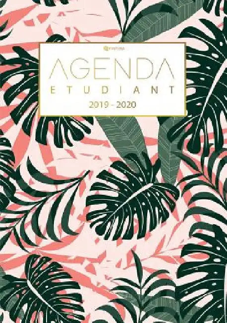 Agenda Etudiant 2019/2020 - Calendrier de Août 2019 à Août 2020- Agenda Semainier et Agenda Journalier Scolaire: Cadeau Enfant et Étudiant by Fintera, El