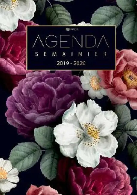 Agenda Semainier 2019 2020 - Agenda de Poche et Calendrier Août 2019 à Décembre 2020 Agenda Journalier by Fintera, El
