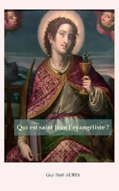 Qui est saint Jean l'évangéliste by Aubry, Guy-Noël