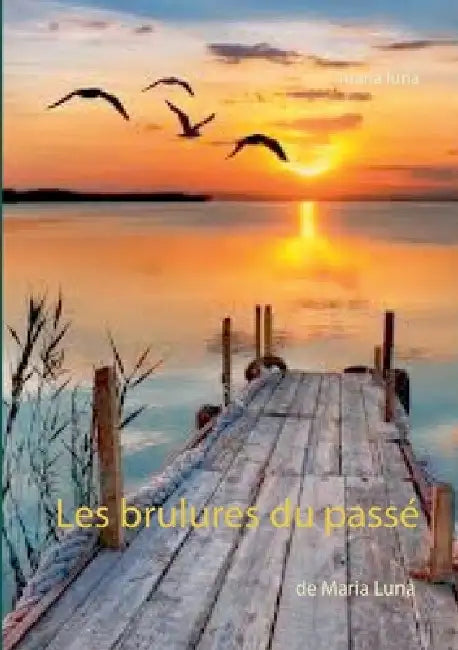 Les brulures du passé by Luna, Maria