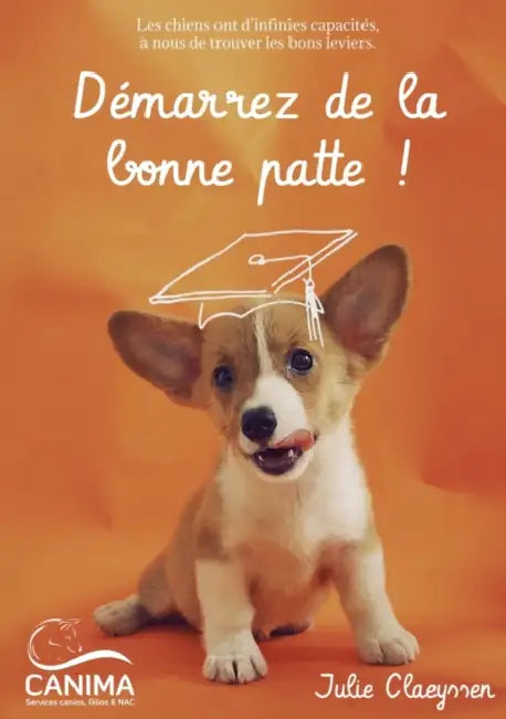 Démarrez de la bonne patte !: Les chiens ont d'infinies capacités, à nous de trouver les bons leviers. by Julie Claeyssen