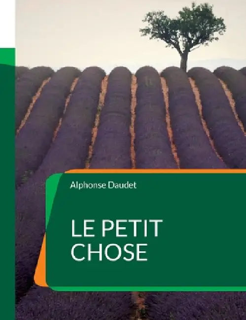 Le Petit Chose: Un roman autobiographique by Daudet, Alphonse