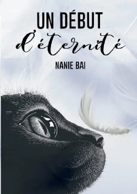 Un début d'éternité by Bai, Nanie