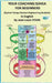 Coaching SDHEA for beginners: coaching SDHEA by Jean-Louis Penin