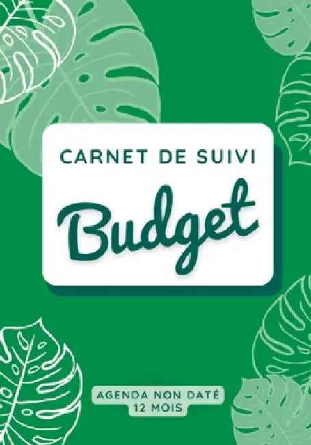 Carnet de suivi budget: Gestion budgétaire, suivi de budget, carnet de compte à remplir by Pellegrini, Virginie