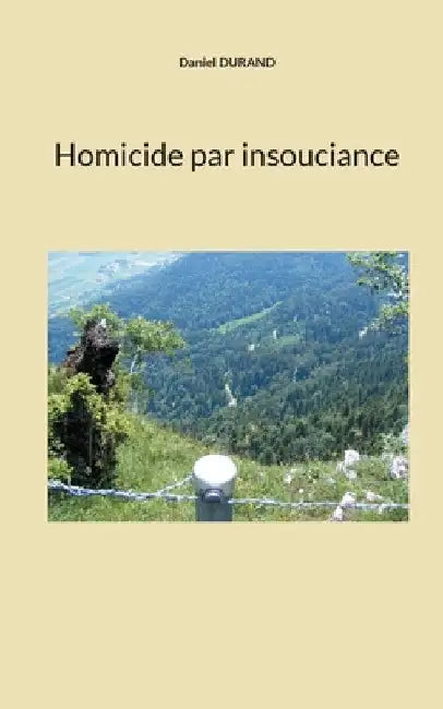 Homicide par insouciance by Durand, Daniel