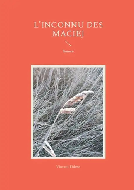 L'inconnu des Maciej: Roman by Pithon, Vincent