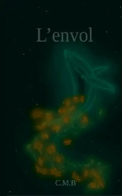 L'envol by C. M. B.