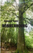 Nonnenbourg by Apse, Armand